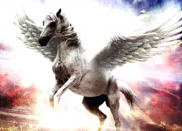 Алмазная мозаика Пегас обложка книги