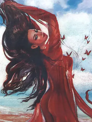 Алмазная мозаика Фламенко обложка книги