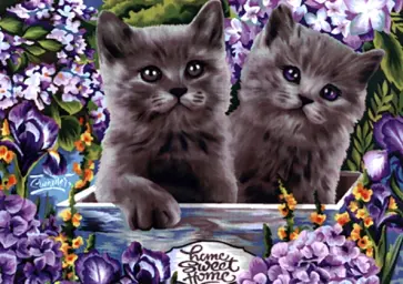 Алмазная мозаика Британские котята обложка книги