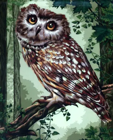 Рисование по номерам Милые глазки обложка книги