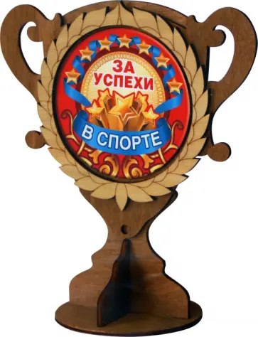 Кубок деревянный За успехи в спорте обложка книги