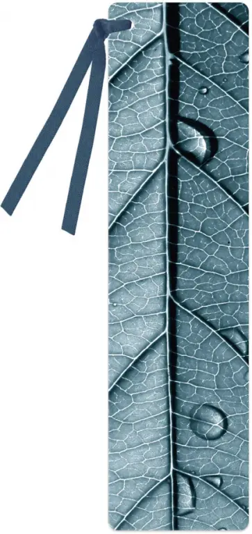 Закладка для книг. Капли дождя, картон обложка книги