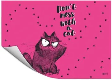 Плёнка цветная для уроков труда Крэйзи кот обложка книги