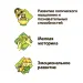 Миниатюра 5