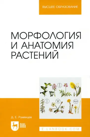 Денис Румянцев - Морфология и анатомия растений. Учебное пособие Денис Румянцев - Морфология и анатомия растений. Учебное пособие обложка книги