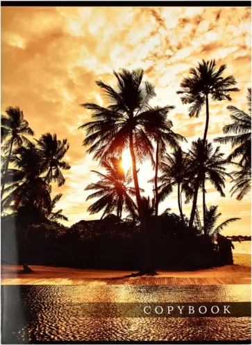 Тетрадь-перевертыш Морской круиз, 80 листов, клетка, А4 обложка книги