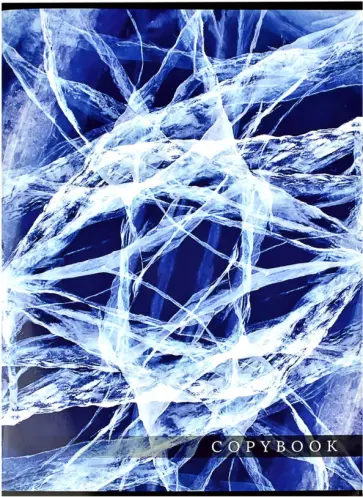 Тетрадь-перевертыш Стихия, 80 листов, клетка, А4 обложка книги