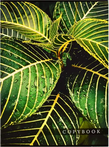 Тетрадь-перевертыш Джунгли, 80 листов, клетка, А4 обложка книги