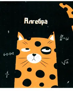 Тетрадь предметная Silly. Алгебра, 48 листов, клетка обложка книги