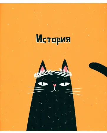 Тетрадь предметная Silly. История, 48 листов, клетка обложка книги