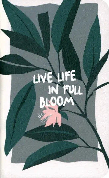 Записная книжка Pots. Растение, 64 листа, линейка, клетка обложка книги