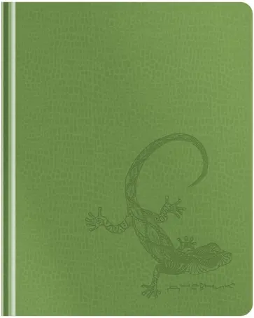 Дневник школьный для 1-11 классов Lizard, 48 листов обложка книги