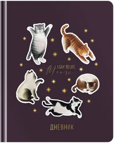 Дневник школьный для 1-11 классов I say meow, 48 листов обложка книги