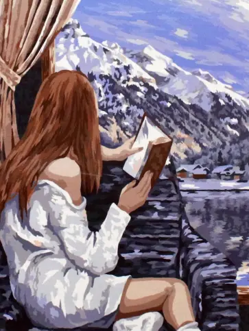 Картина по номерам Красивый вид обложка книги