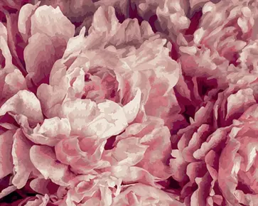 Картина по номерам Нежные пионы обложка книги