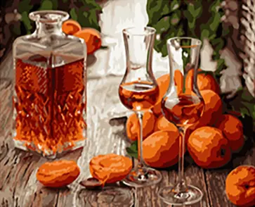 Картина по номерам Сладкие абрикосы обложка книги