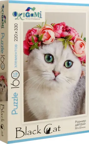 Пазл-160. Красавица обложка книги