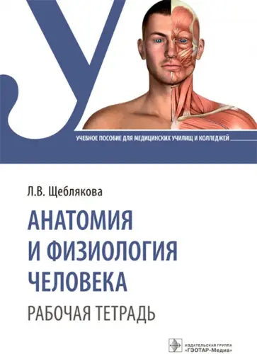 Лада Щеблякова - Анатомия и физиология человека. Рабочая тетрадь. Учебное пособие обложка книги