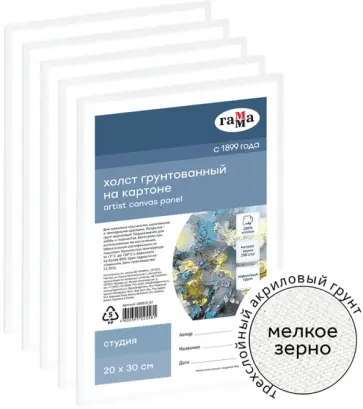 Набор холстов на картоне Студия, 20х30 см, 5 штук обложка книги