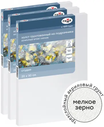 Набор холстов на подрамнике Студия, 20х30 см, 3 штуки обложка книги