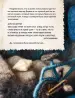 Миниатюра 4
