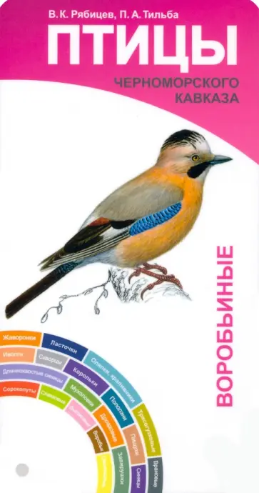 Рябицев, Тильба - Птицы Черноморского Кавказа. Воробьиные и неворобьиные. Веер-определитель обложка книги