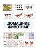 Миниатюра 5