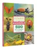 Миниатюра 2