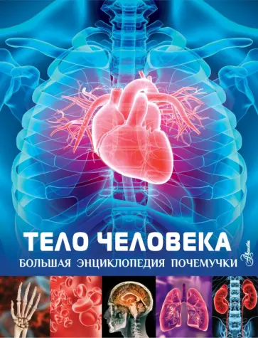 Клэр Хибберт - Тело человека Клэр Хибберт - Тело человека обложка книги