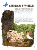 Миниатюра 5
