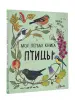 Миниатюра 2