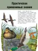 Миниатюра 5