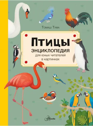 Томаш Тума - Птицы Томаш Тума - Птицы обложка книги