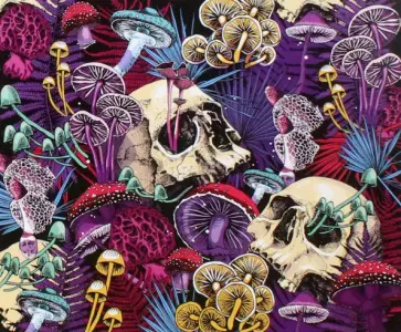 Картина по номерам Ванитас обложка книги