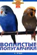 Миниатюра 1