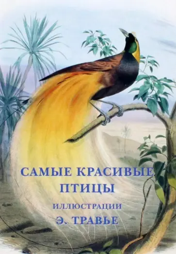Набор открыток. Самые красивые птицы Набор открыток. Самые красивые птицы обложка книги