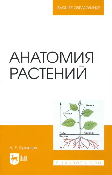 Денис Румянцев - Анатомия растений. Учебное пособие Денис Румянцев - Анатомия растений. Учебное пособие обложка книги