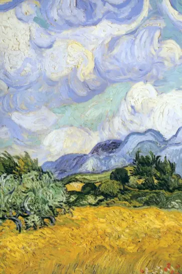 Блокнот Vincent Van Gogh, А5, 96 листов, линия, в ассортименте Блокнот Vincent Van Gogh, А5, 96 листов, линия, в ассортименте обложка книги