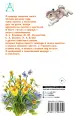 Миниатюра 3