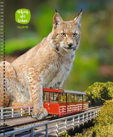 Тетрадь В городе! 48 листов, клетка, в ассортименте обложка книги