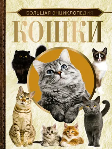Дмитрий Смирнов - Большая энциклопедия. Кошки Дмитрий Смирнов - Большая энциклопедия. Кошки обложка книги