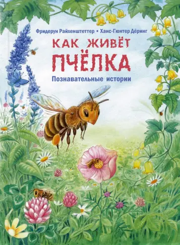 Фридерун Райхенштеттер - Как живёт пчёлка. Познавательные истории обложка книги
