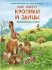 Миниатюра 1