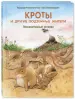 Миниатюра 2