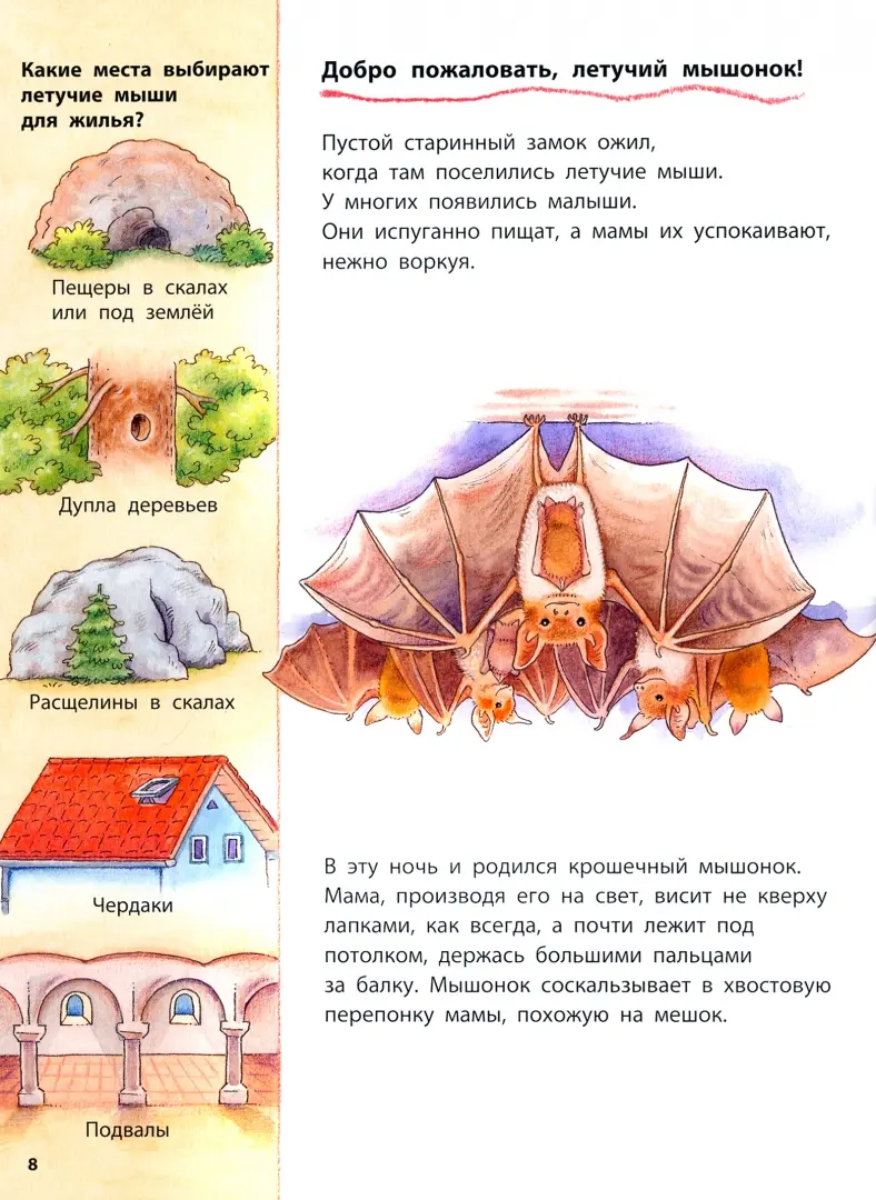 Летучая мышь (оперетта) — Википедия