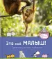 Миниатюра 1