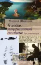 Михаил Шишкин: Уроки каллиграфии