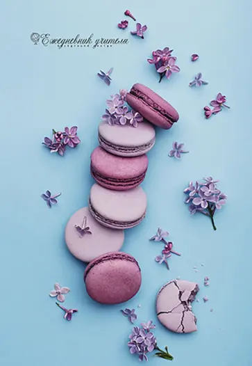 Ежедневник учителя Макаруны, А5, 288 страниц обложка книги