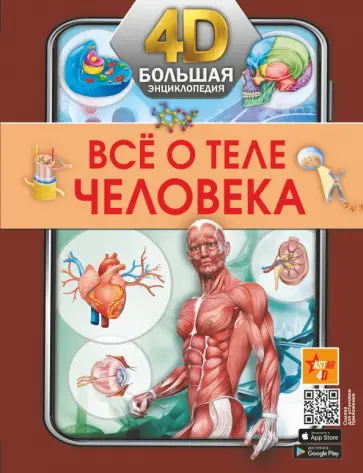 Анна Спектор - Всё о теле человека Анна Спектор - Всё о теле человека обложка книги