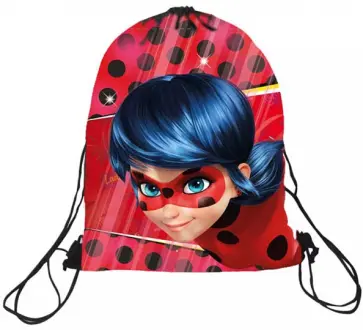 Мешок для обуви Леди-Баг и Супер-Кот обложка книги